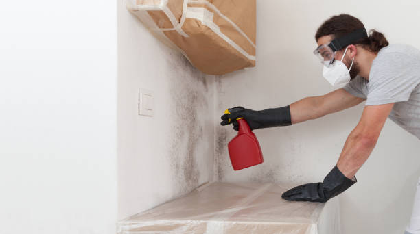 Professional Attic Mold Removal technician working in Upper Falls, MD
