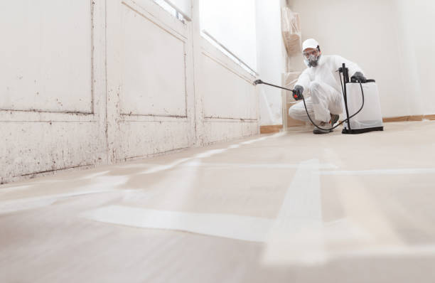 24/7 Emergency Attic Mold Removal experts in Upper Falls, MD