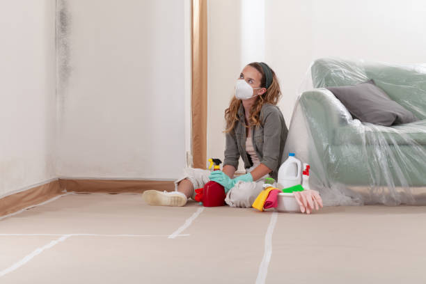 Reliable Attic Mold Removal contractor in Upper Falls, MD by WQB Mold Removal